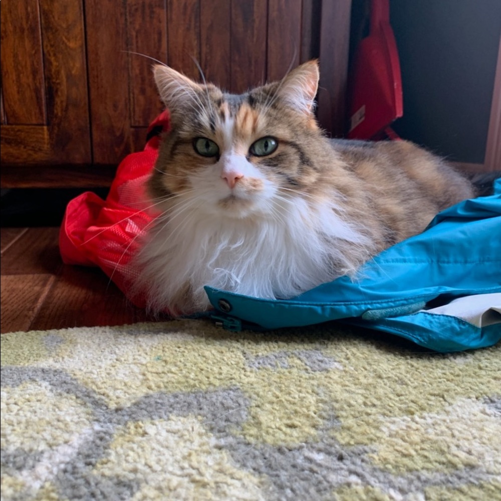 Meet your Posher, Sofie